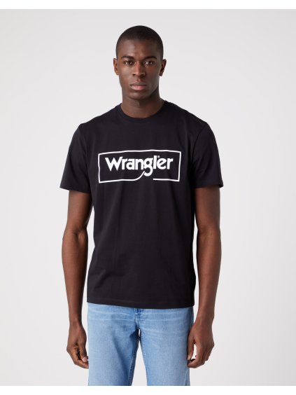 Frame Logo Tee W70JD3100 (1)