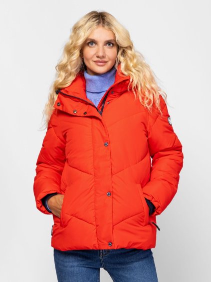 NEMSI red (1)