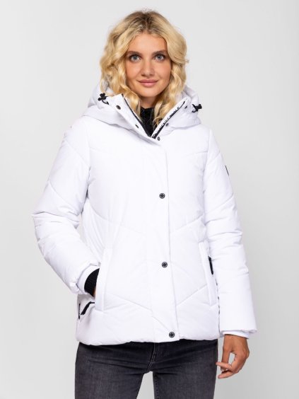 NEMSI white (1)