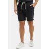 Shorts 49092 310 (1)