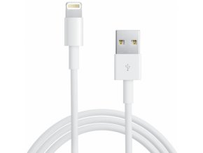 Apple Lightning to USB Cable 1m