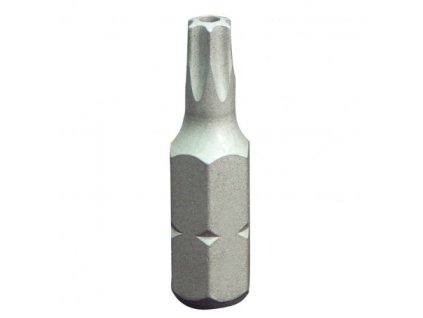 Bit T55 s otvorem 5/16"