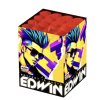 edwin