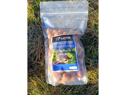 Raptor jahoda 500 g e1708261362625