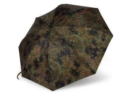 zebcobrolly2