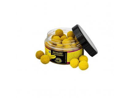 92790 vaclavik boilies v dvojobalu 180 g 20 mm slunecnice