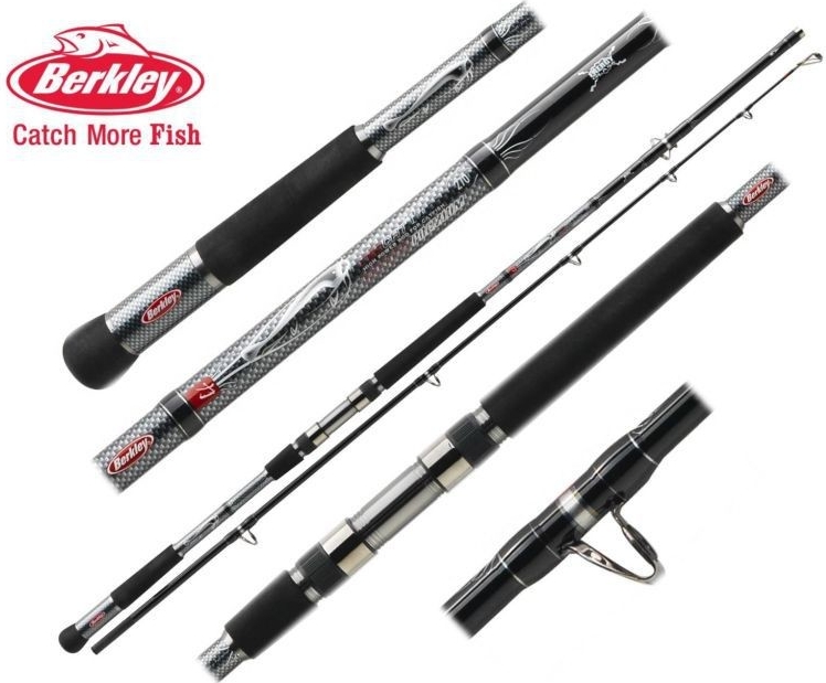 Berkley Prut Hunter Float 9 ́6 , 2,90m - 150/500g