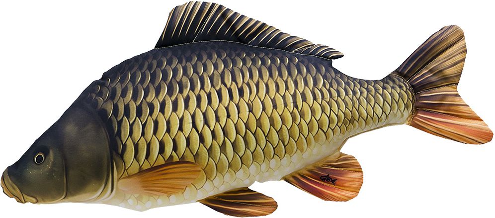 Polštářek Kapr Šupináč 64 cm
