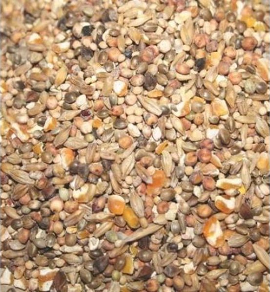 Mikbaits Partikl 1kg - Partikl mix Premium