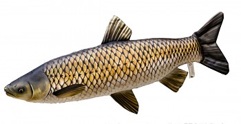 Polštářek Amur mini - 40 cm