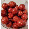 Raptor Baits Chytací boilies 250 g – v tekutém dipu 24mm