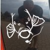 93750 betafish samolepka na auto bila kapr