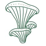 Beta Glucano Naturale