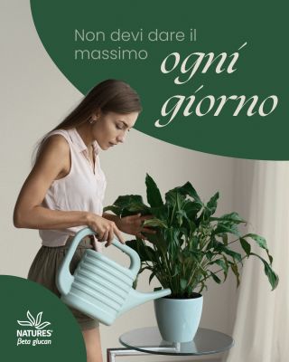 Lavoriamo. Spingiamo. Andiamo avanti. Ma il corpo ricorda anche quando rallenti. Concediti oggi spazio. Non perché devi....