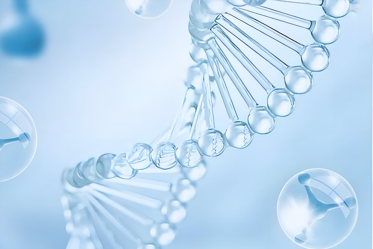 P53 fehérje – kulcsfontosságú a DNS-védelemhez és a rák megelőzéséhez