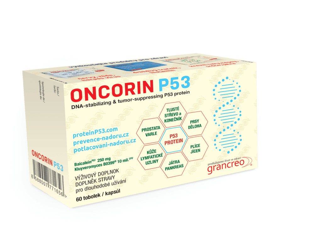 oncorinnovok-1024x740-3