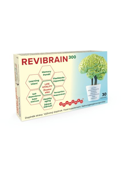 revibrain 1080x1620px