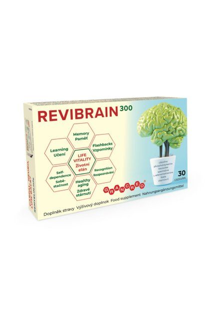 Revibrain
