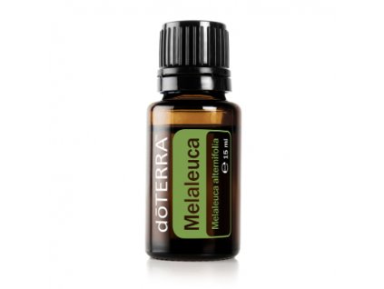 melaleuca