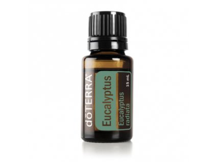 eucalyptus 01