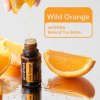 WILD ORANGE - pomeranč - deprese, reflux, pálení žáhy, detox