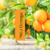 WILD ORANGE - pomeranč - deprese, reflux, pálení žáhy, detox