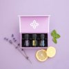 doterra introductie kit doterra enkelvoudige olien
