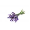 LAVENDER Touch - levandule - relax, spánek, popáleniny