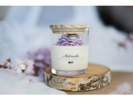 Návrh bez názvu (8)