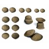 Eco friendly tactile shells / ECO hmatové mušle 36ks
