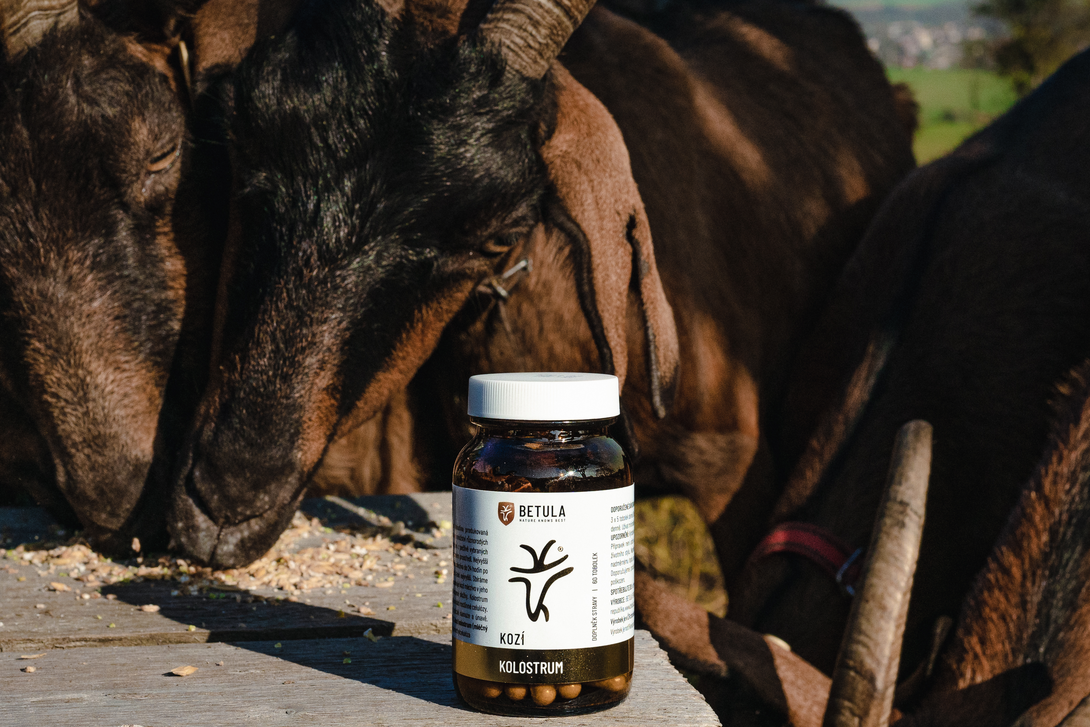 Mapa farem: zjistěte, odkud pochází vaše kolostrum