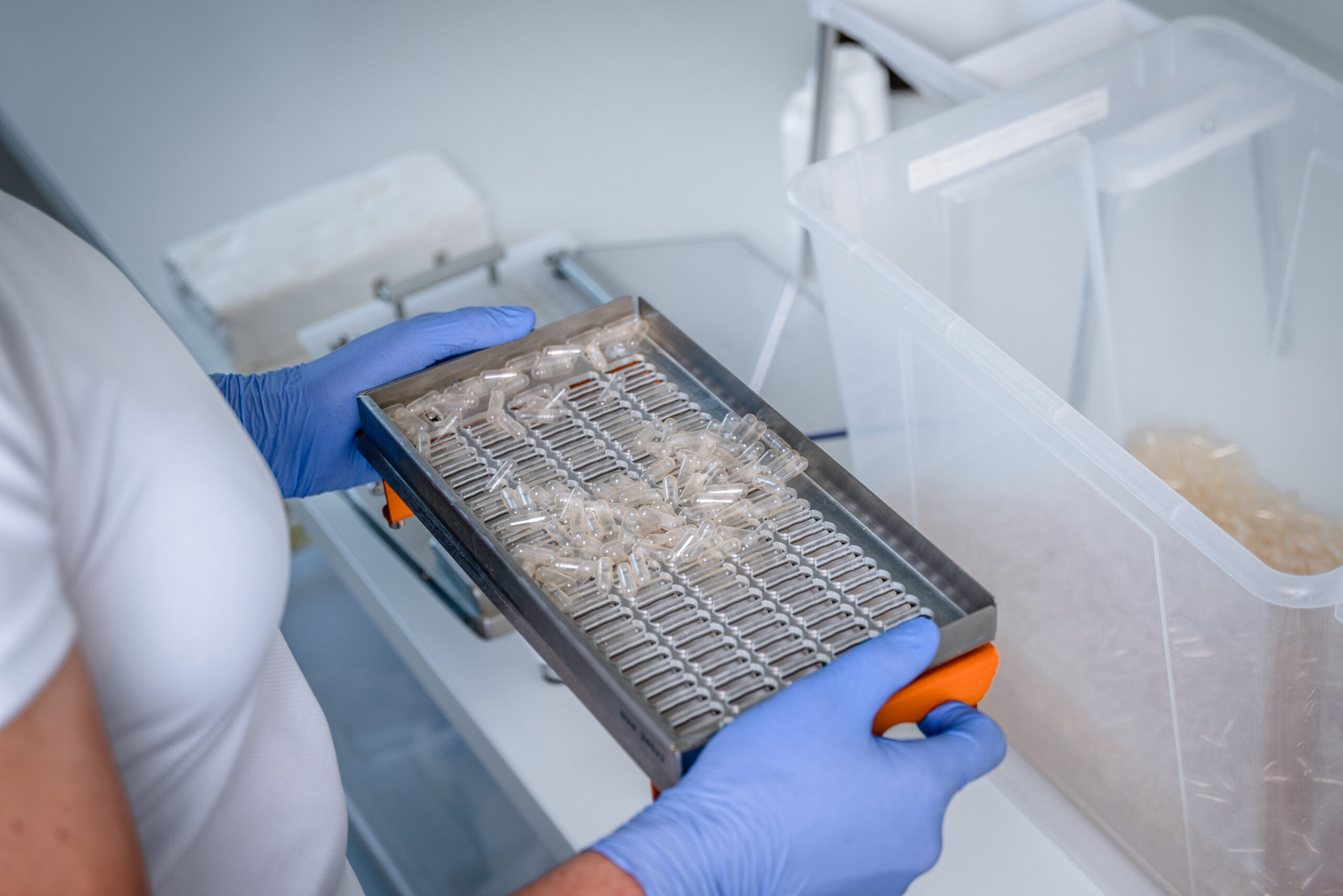 Nejdůležitější suplementy a vitamíny (nejen) pro sportovce