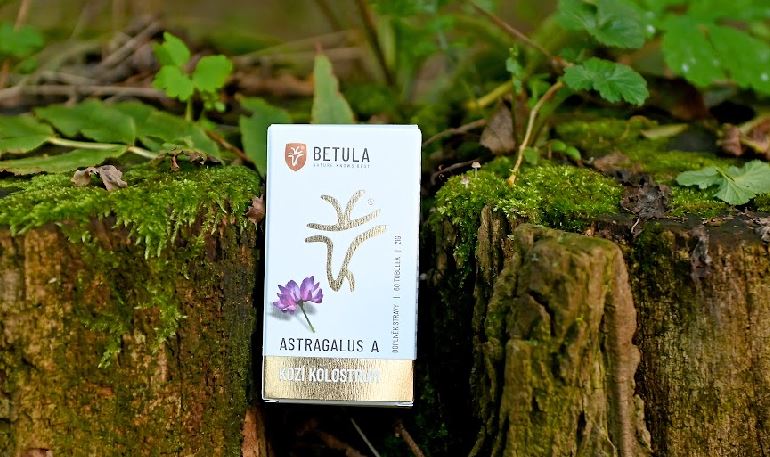 Kozinec blanitý + kolostrum: Jak pomůžou vašemu zdraví?