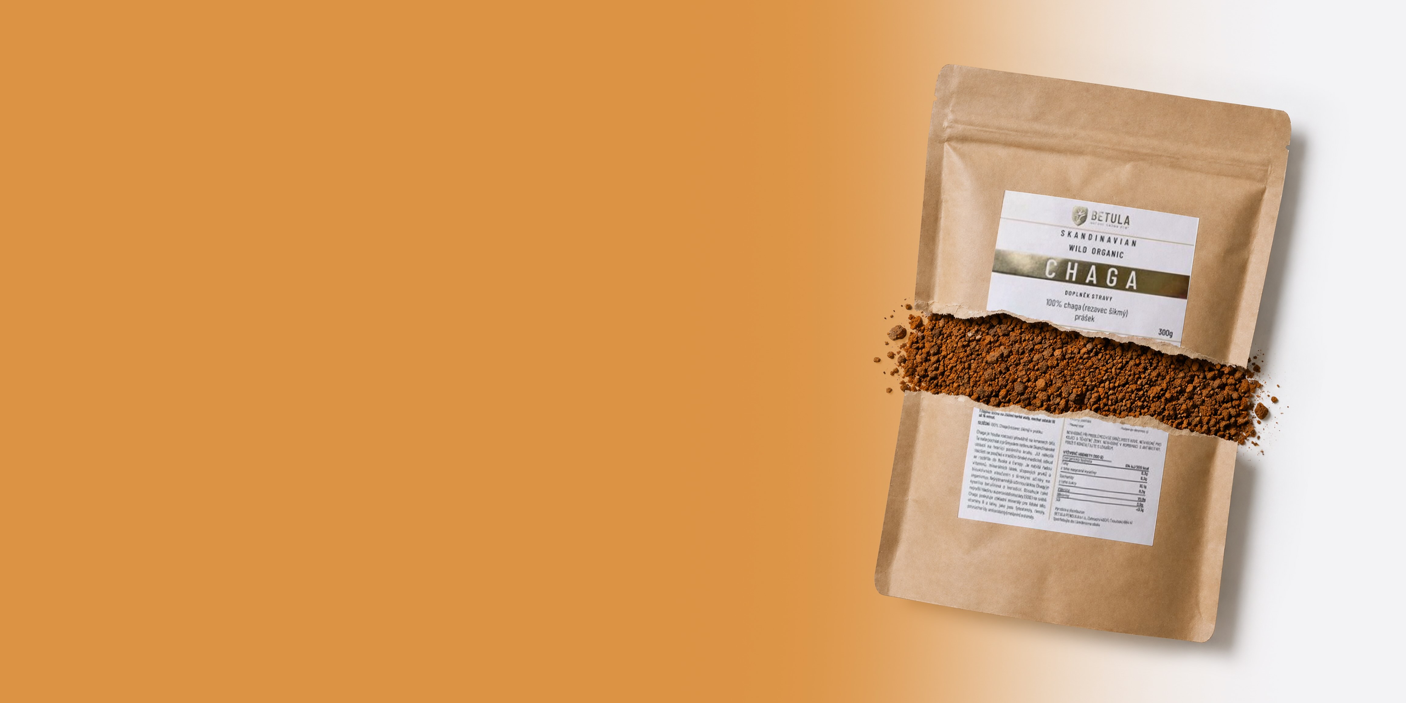 Novinka: Chaga houba