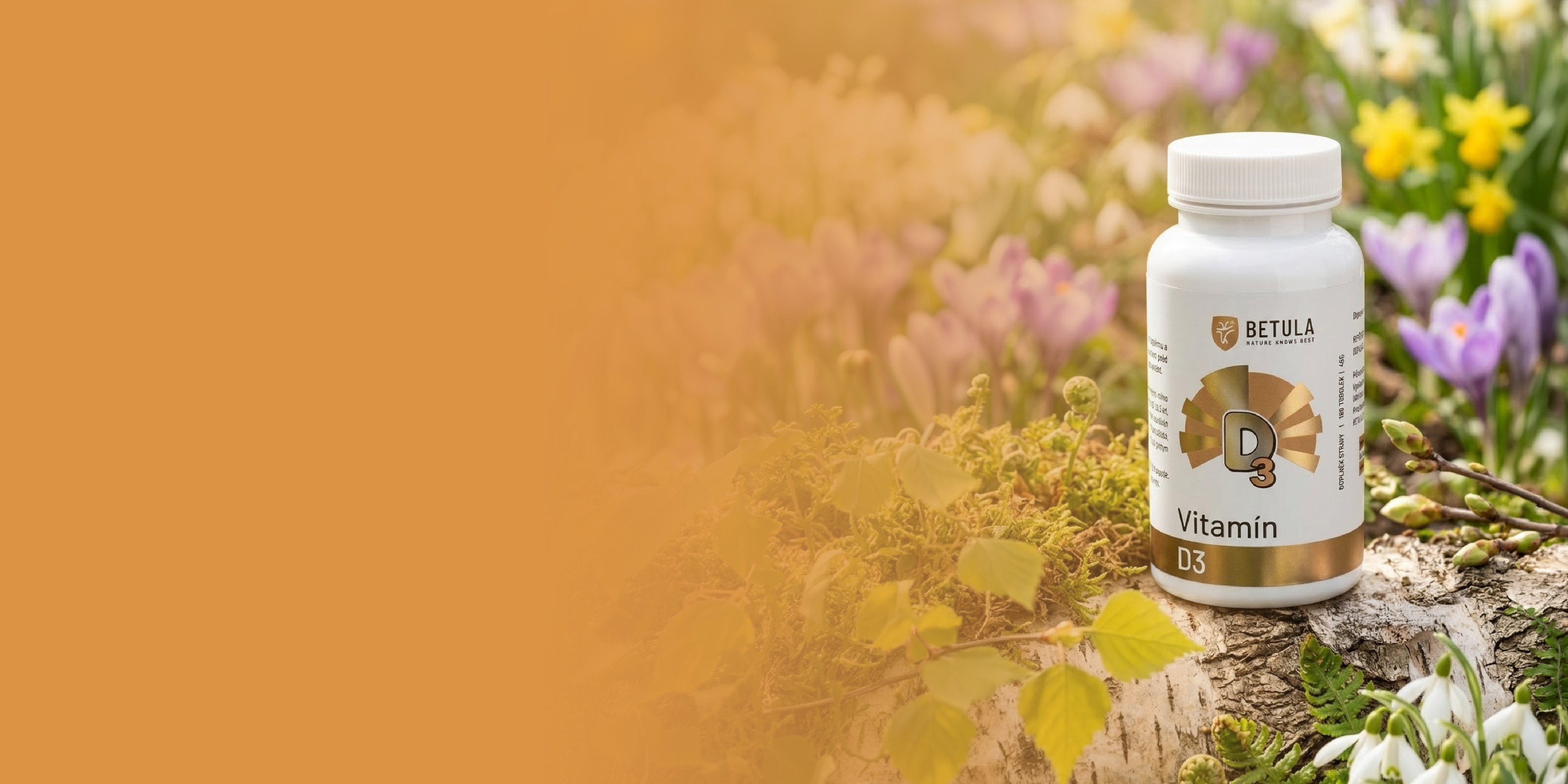 obecný jaro (desktop)