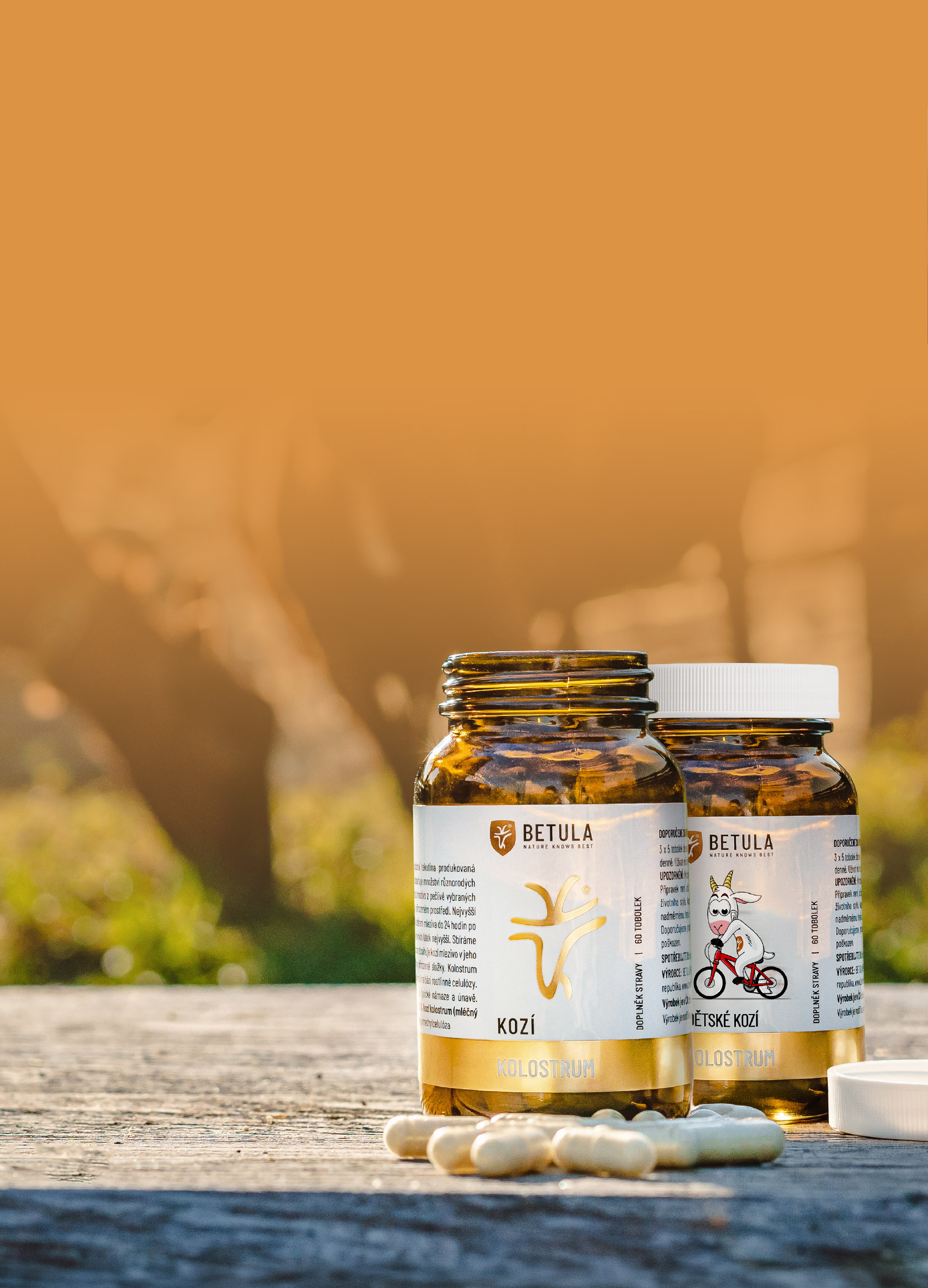 obecný (jaro): mobil