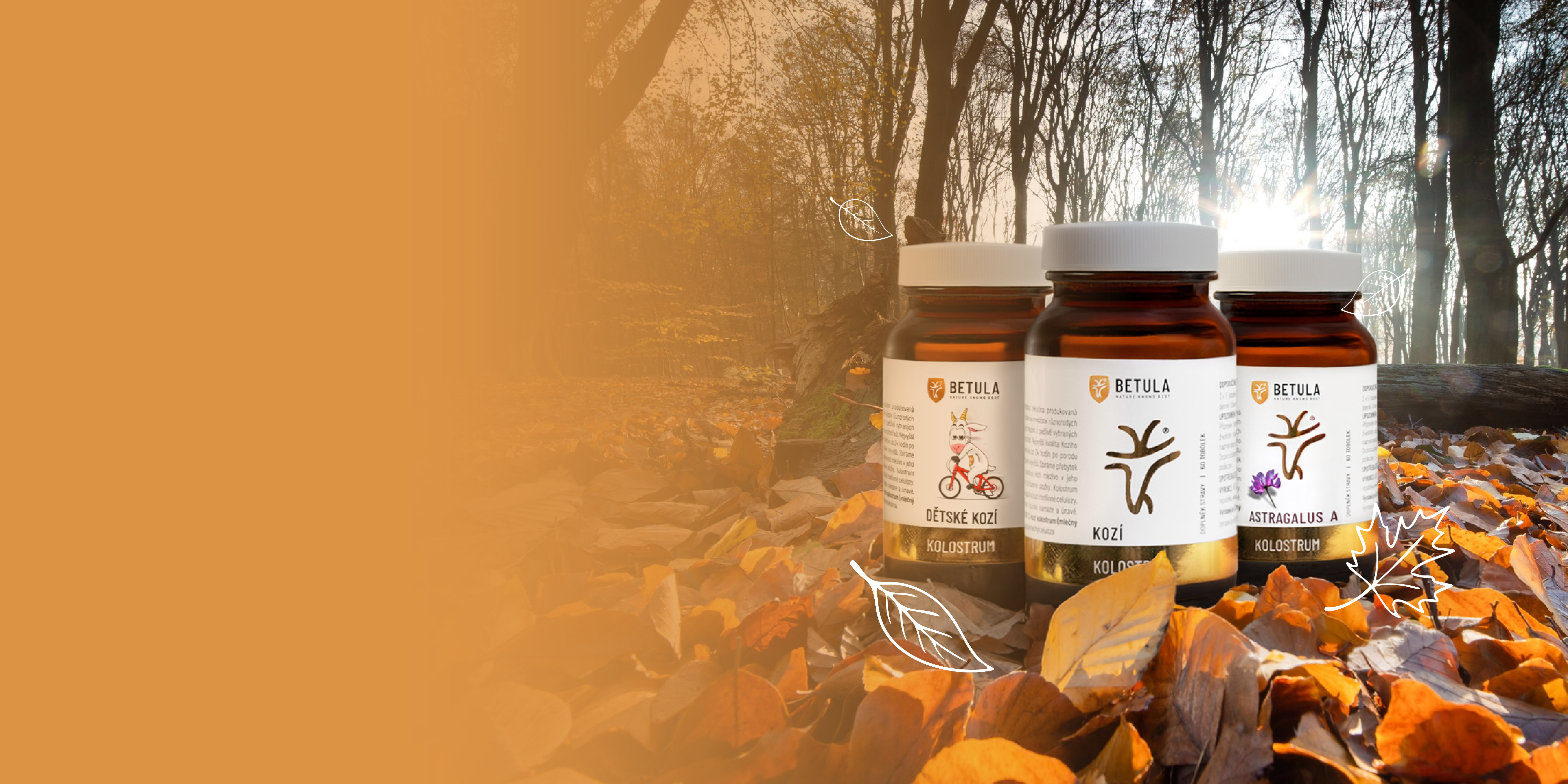 CZ obecný: podzim (desktop)