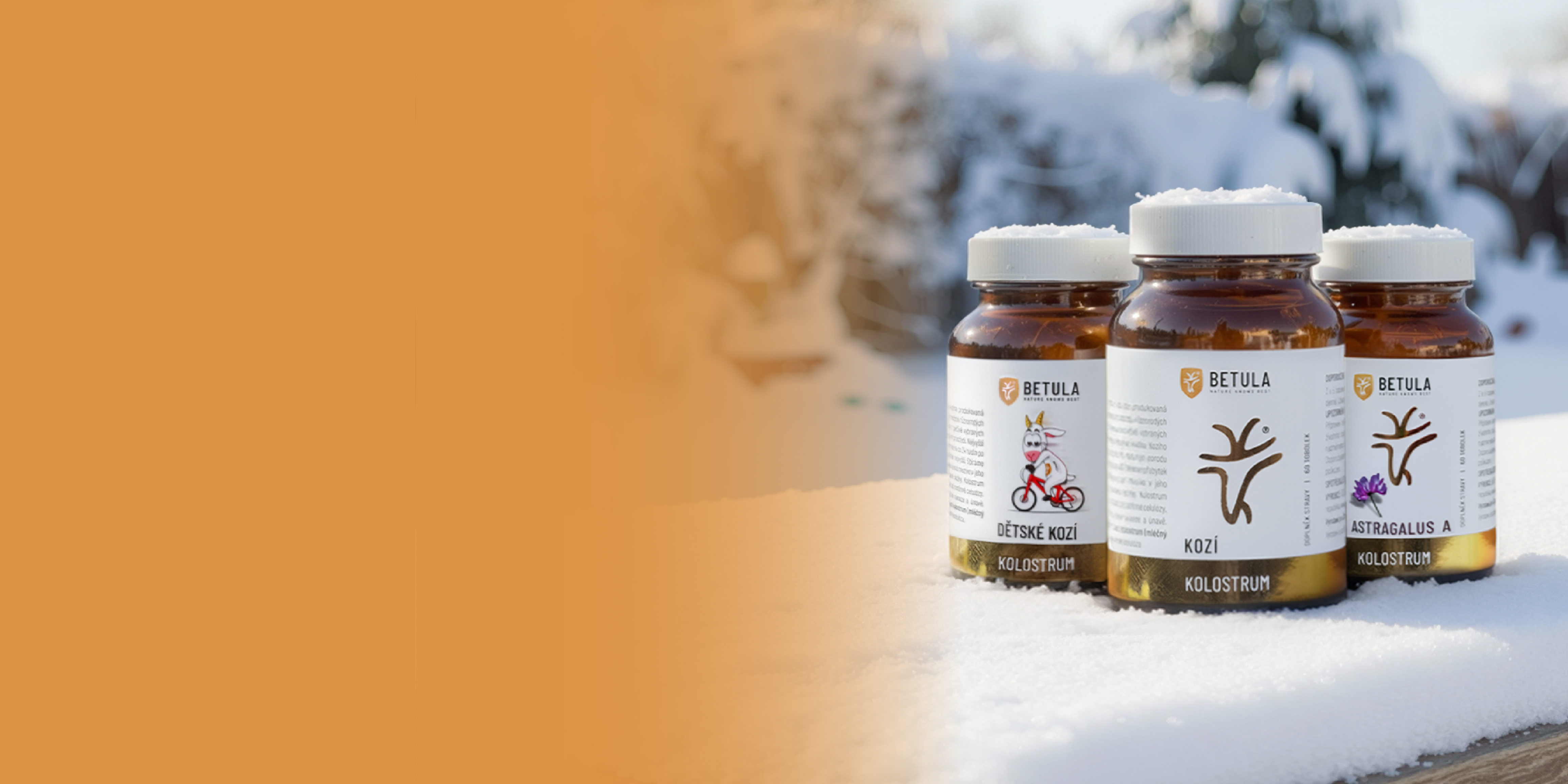 CZ+SK: Obecný (zima): desktop