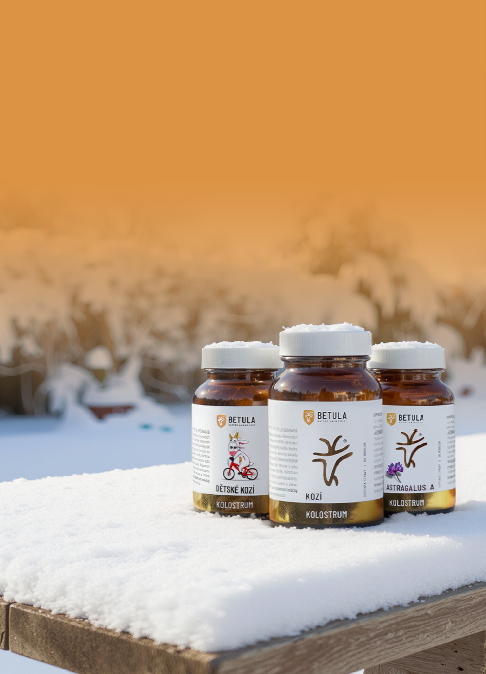 CZ+SK: Obecný (zima): mobil