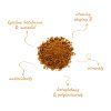 Betula chaga houba imunita vitaminy