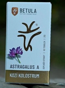 Petra Oppeltová
