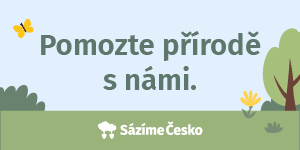 sazime-cesko