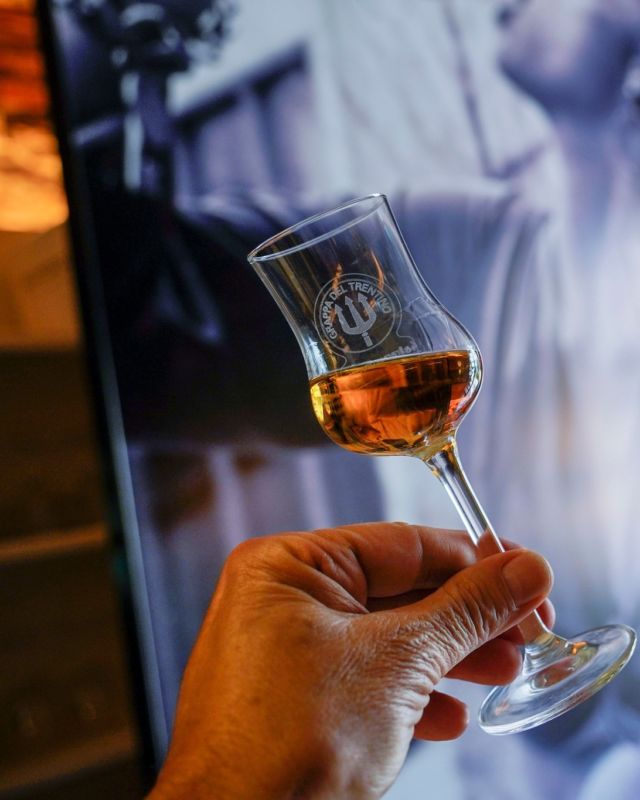 Grappa Trentino