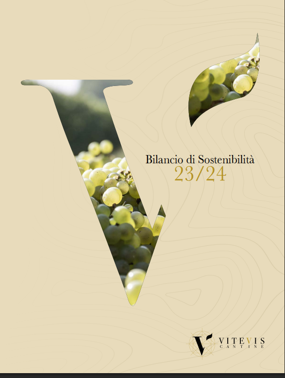 Vitevis zpráva o udržitelnosti