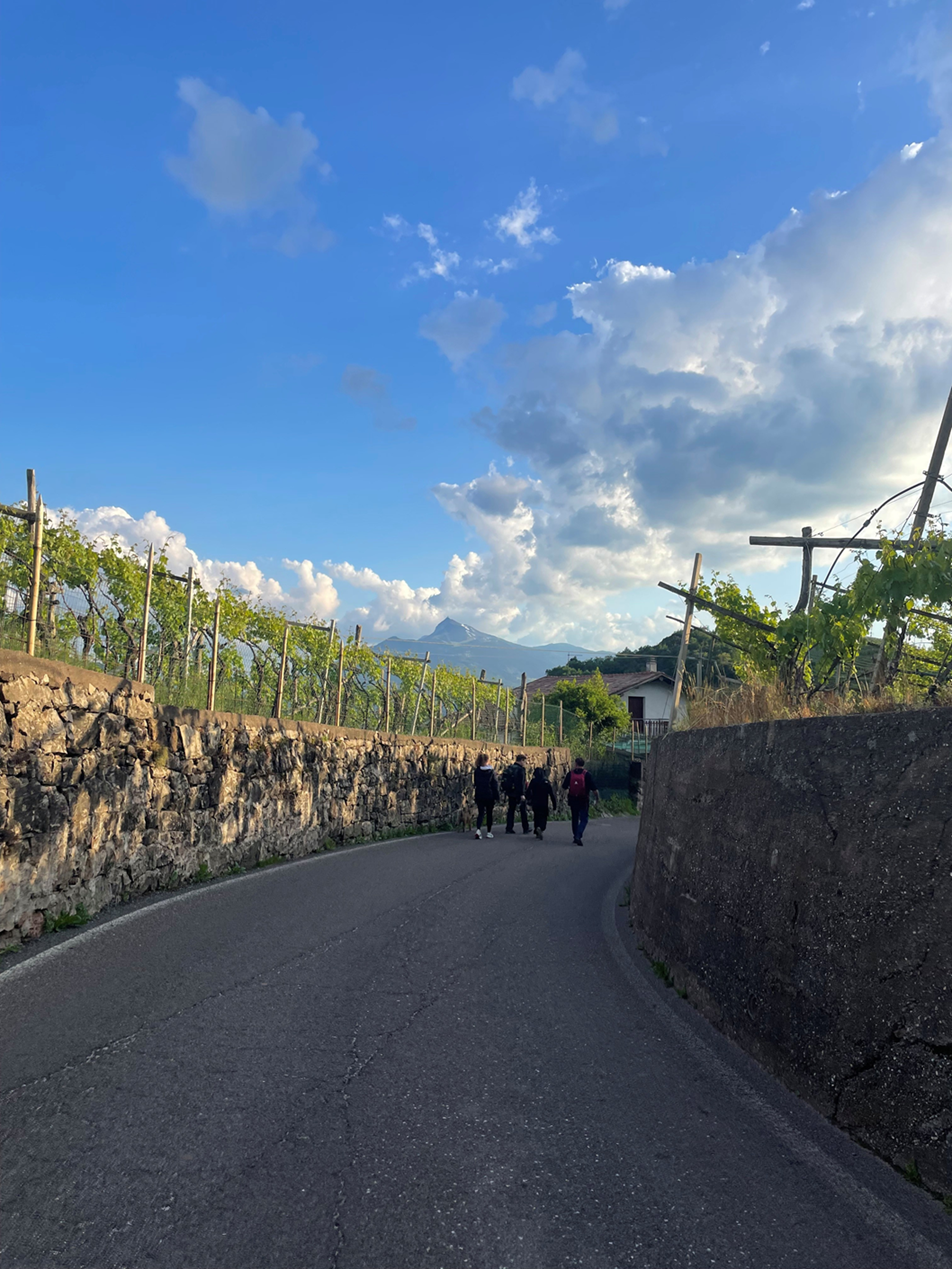 Cembra, Trentino