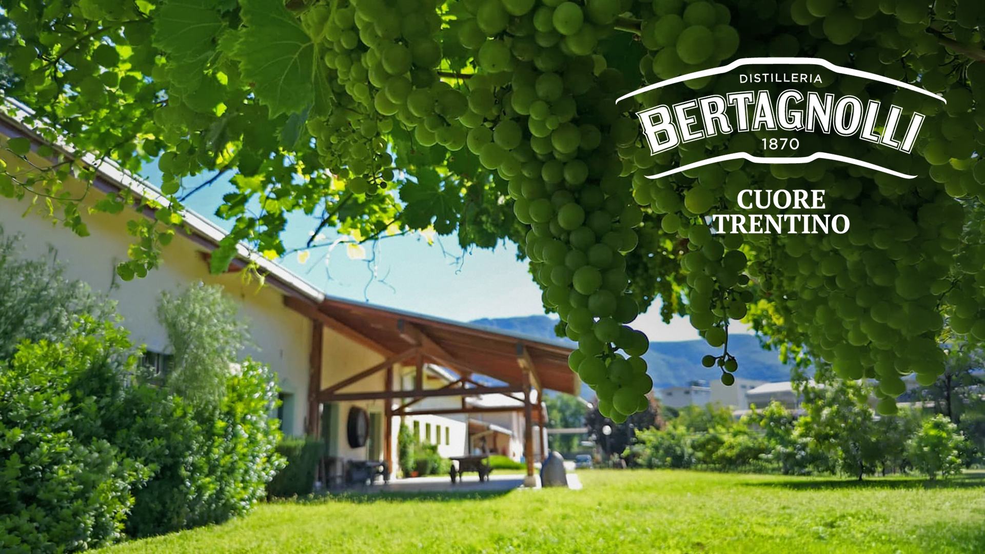 Grappa Bertagnolli na veletrhu Wine Prague