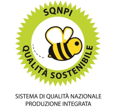 Systém SQNPI