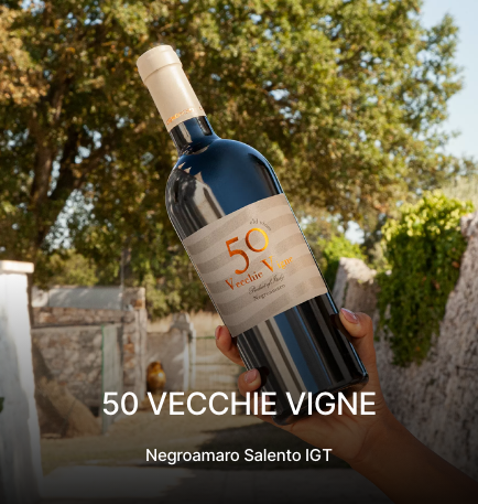 50 Vecchie Vigne, Negroamaro Salento IGT