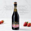 Fragolino banner