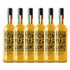 Cartone Bombardino Premium® CLASSICO 6 x 1,0 L, 17% vol. , FATTO IN ITALIA